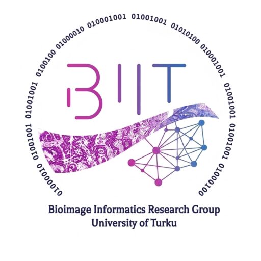Bioimage Informatics Group Logo